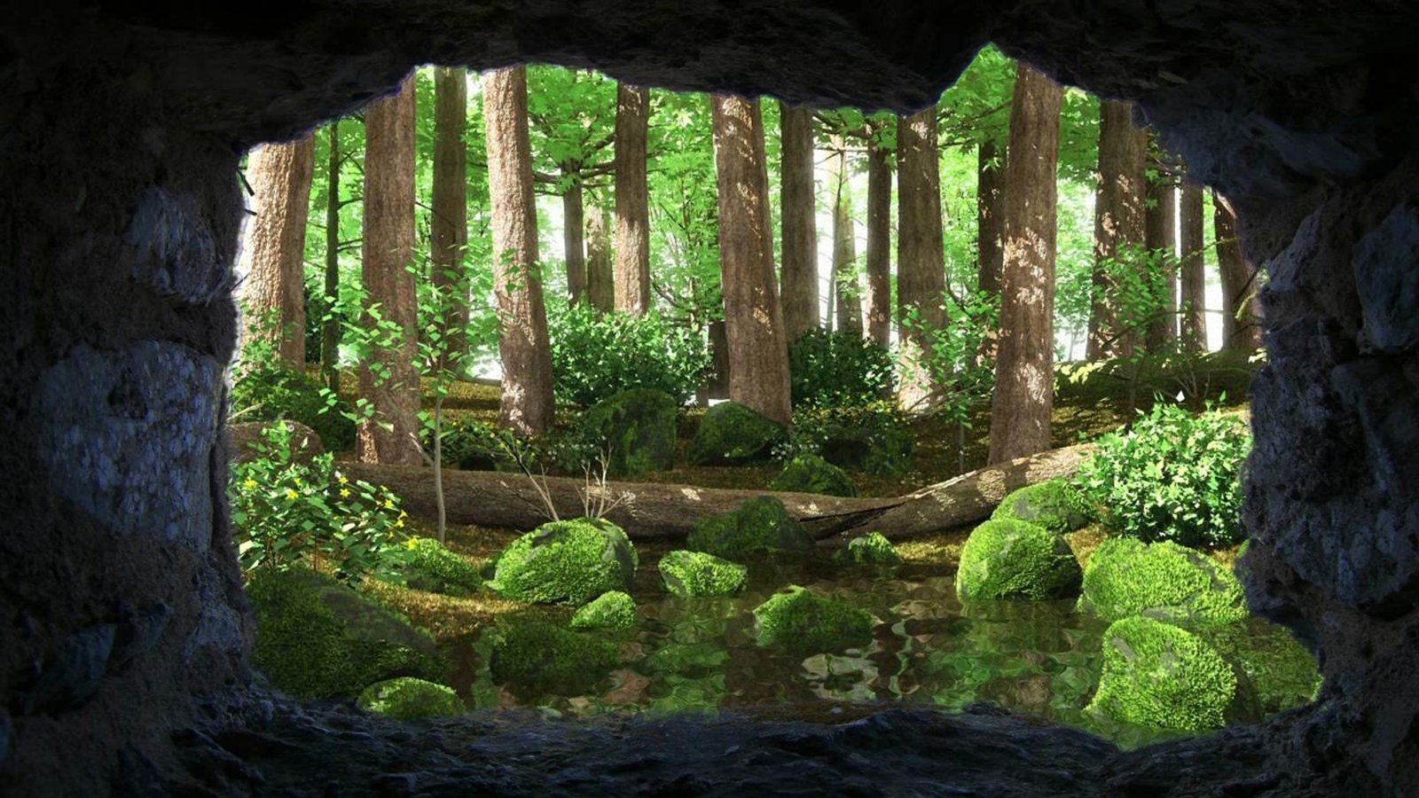 תמונה - 0 (20).JPG